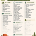 Liste d'équipement pour un camping réussi en pleine nature.