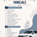 Accessoires de voiture pour les voyages en famille, incluant coussins et organiseurs.