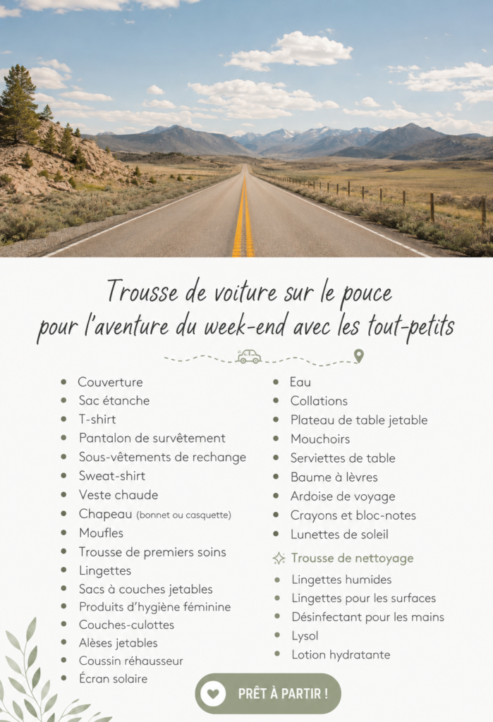 Trousse de voiture bien organisée prête pour une aventure familiale