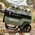 Une sélection de cooler Igloo® pour des sorties en famille