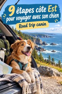 Un road trip sur la Côte Est avec un chien, un moment de complicité entre maître et animal.